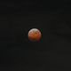 Illustration for article titled Today's Lunar Eclipse Looked Spectacular